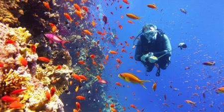 رحلة غوص إلى حطام سفينة إس إس ثيستلغورم